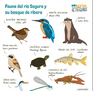 Pegatinas Fauna del río Segura